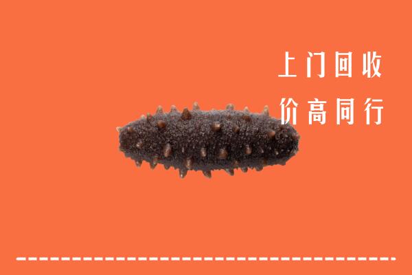 黔南长顺回收海参