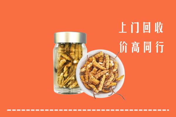 黔南长顺回收冬虫夏草